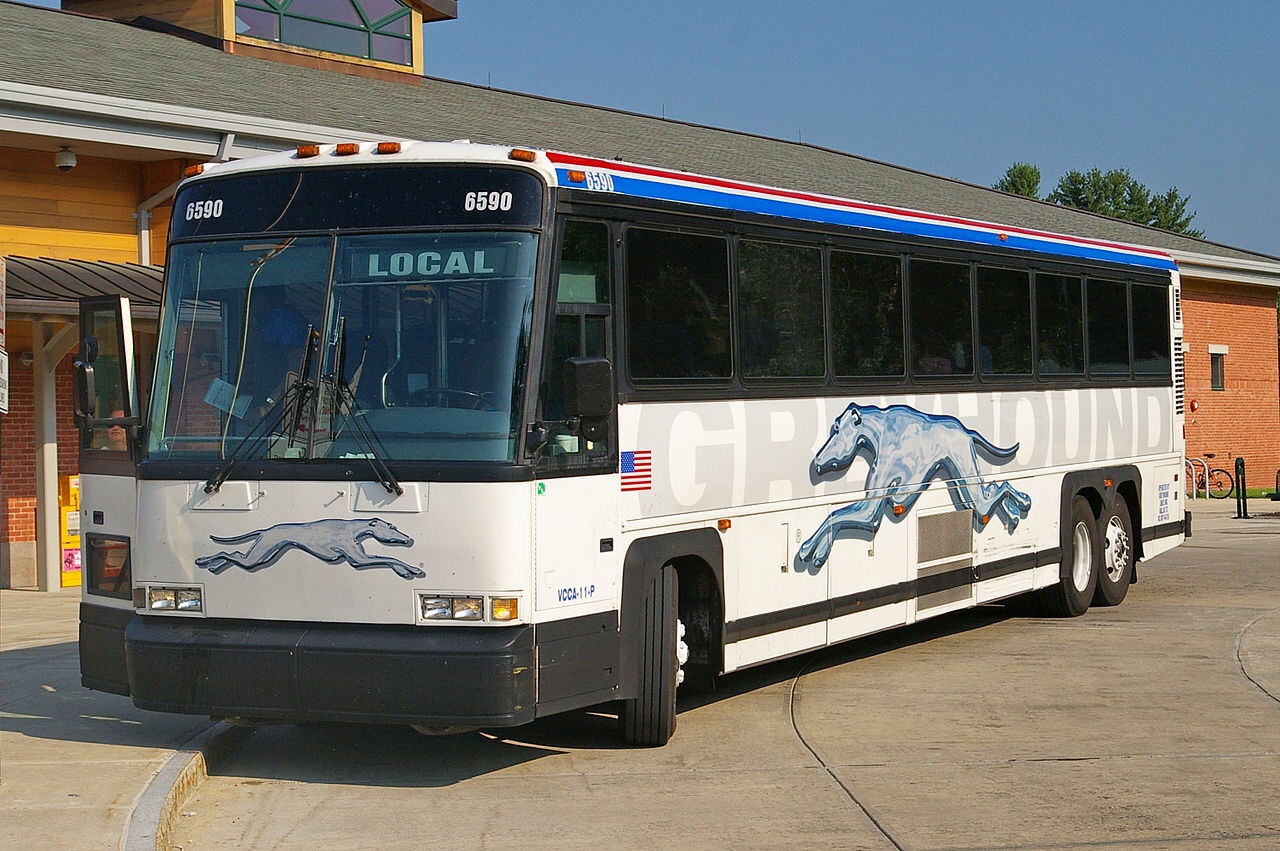 Greyhound is underrated