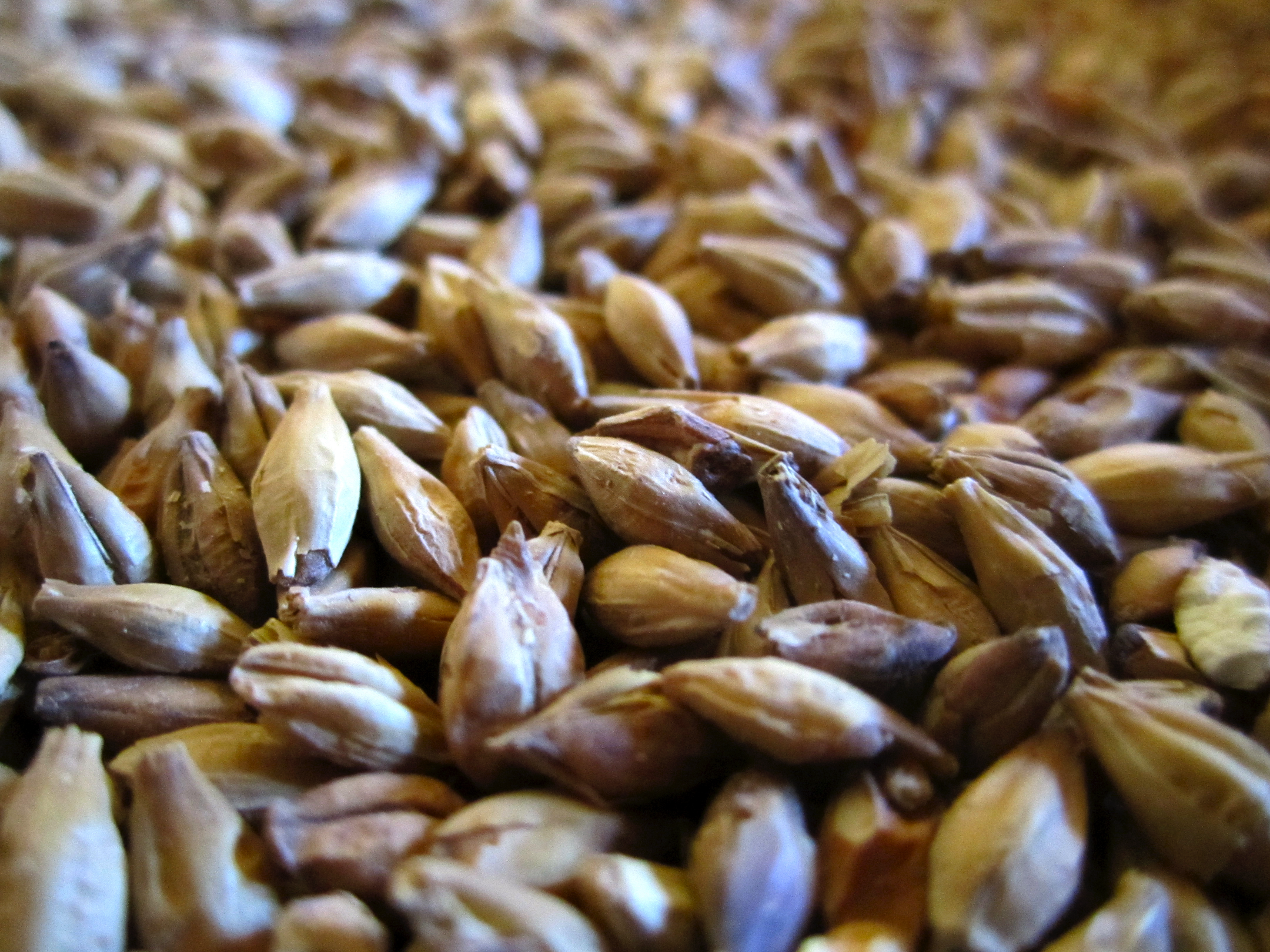 Brewing 101: Suppliers