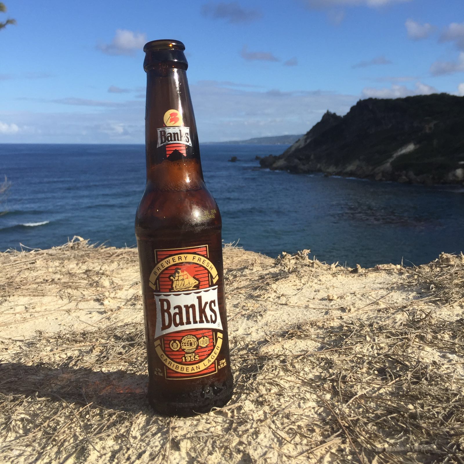 Hydration and Fermentation: The Beers of Barbados
