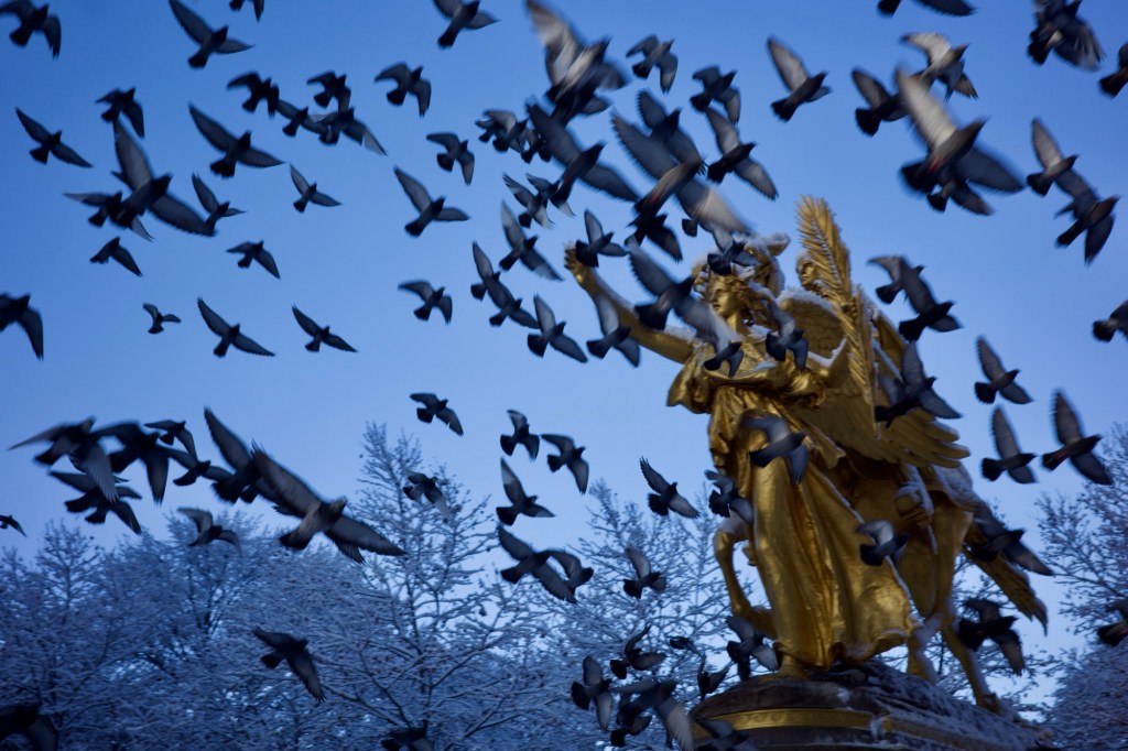 End of year review and GR Photo Festival 2025 submissions