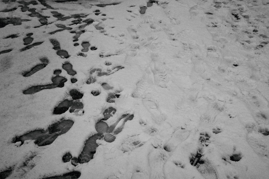 Snow and more snow in black and white