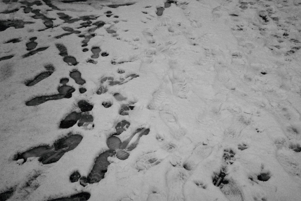 Snow and more snow in black and&nbsp;white